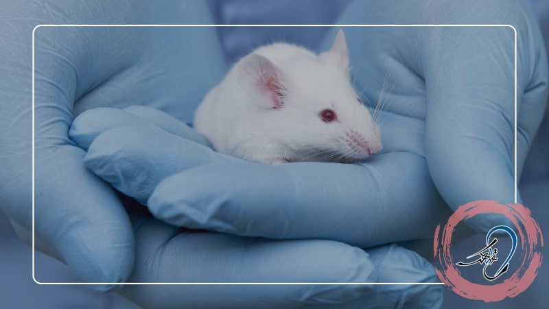 استفاده از موش ها به منظور تحقیق درباره ی سندرم آشر