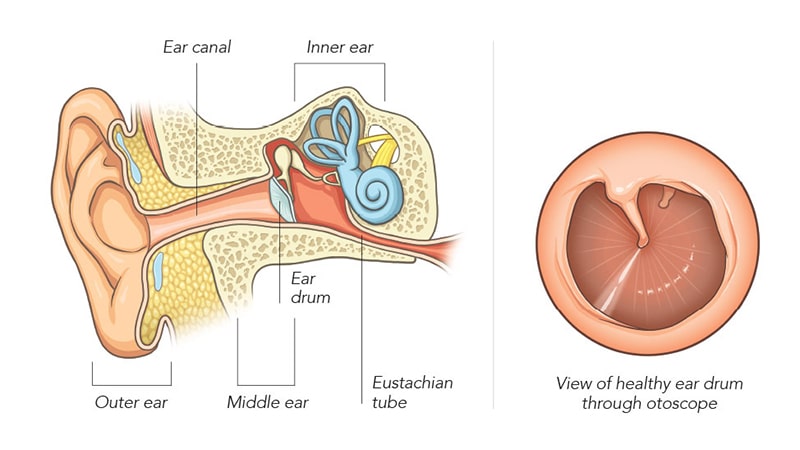 علت عفونت کردن گوش میانی چیست